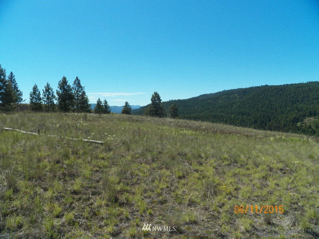 3 Barrett Creek Road Republic, WA 99166 - Photo 11 of 15