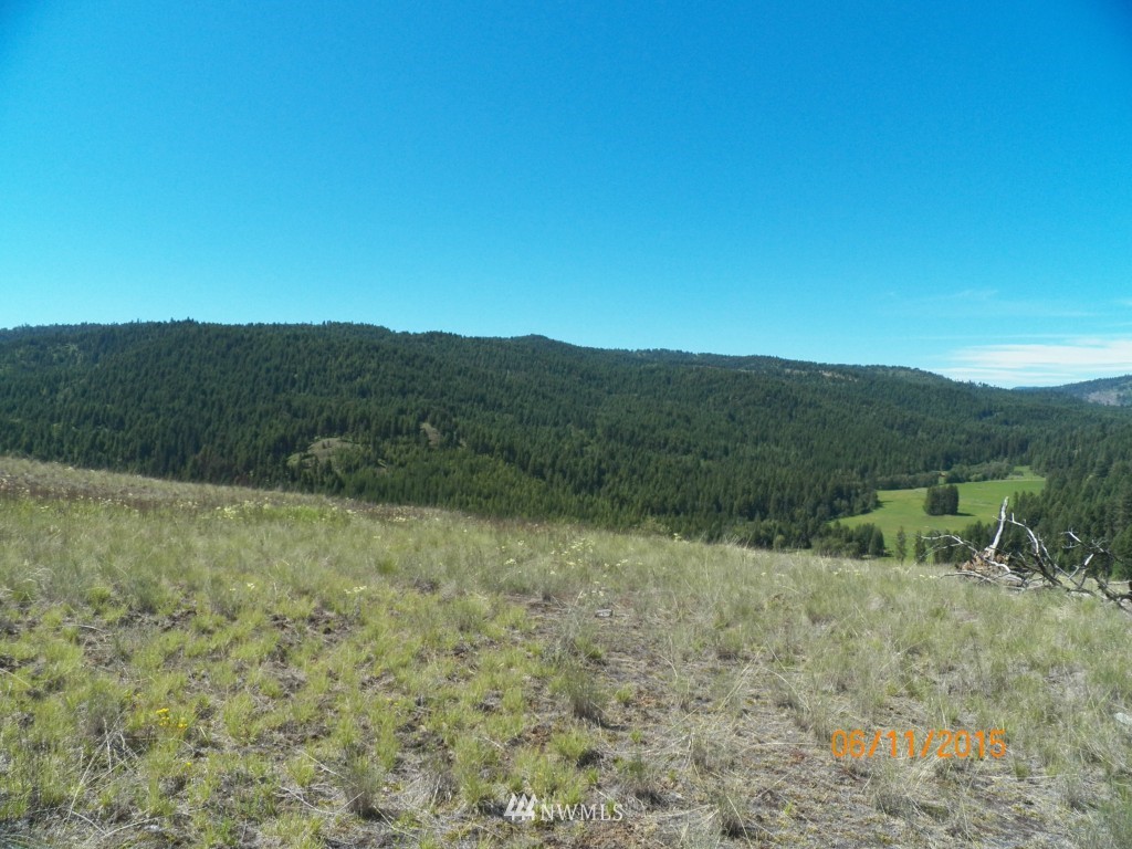 3 Barrett Creek Road Republic, WA 99166 - Photo 12 of 15