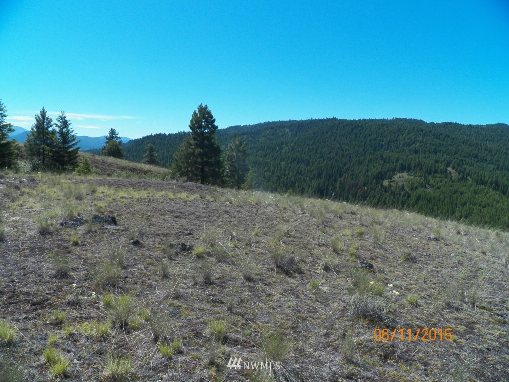 3 Barrett Creek Road Republic, WA 99166 - Photo 13 of 15
