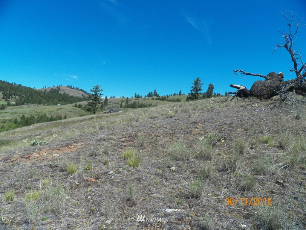 3 Barrett Creek Road Republic, WA 99166 - Photo 14 of 15