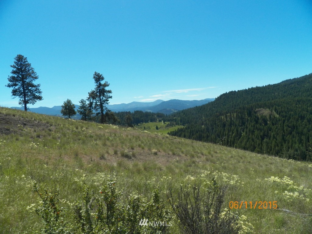 3 Barrett Creek Road Republic, WA 99166 - Photo 15 of 15