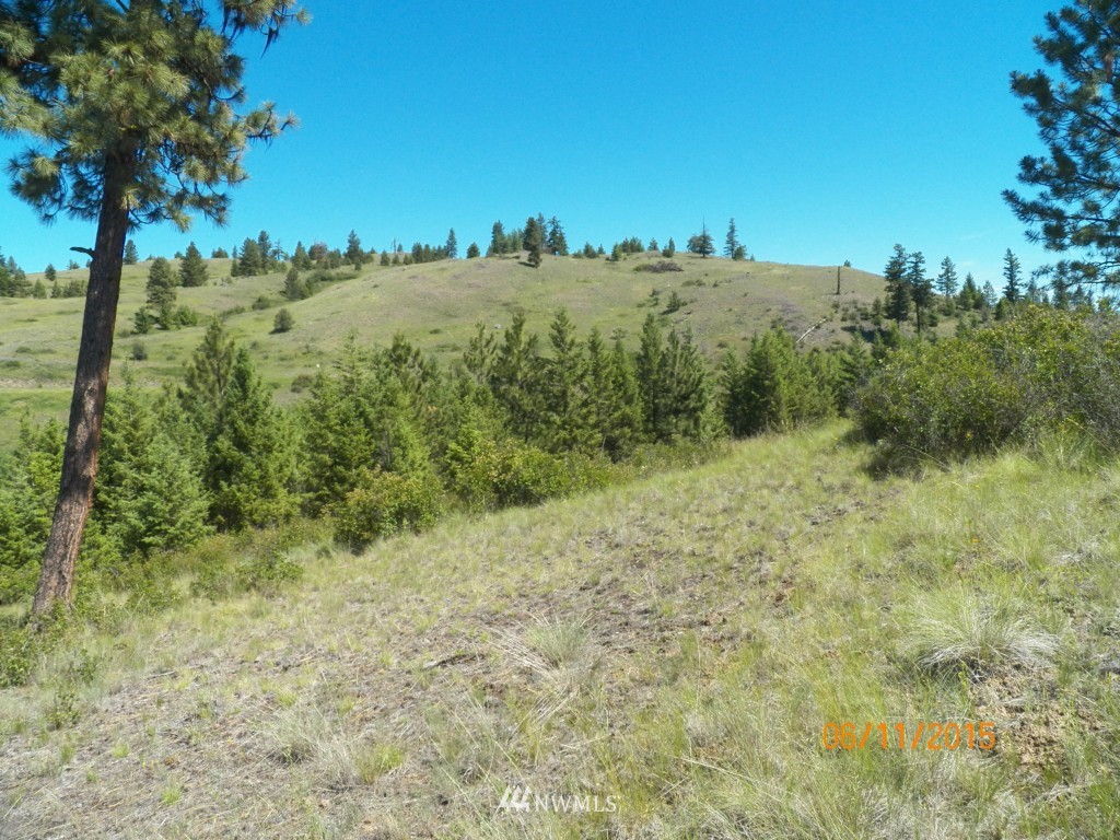 3 Barrett Creek Road Republic, WA 99166 - Photo 3 of 15