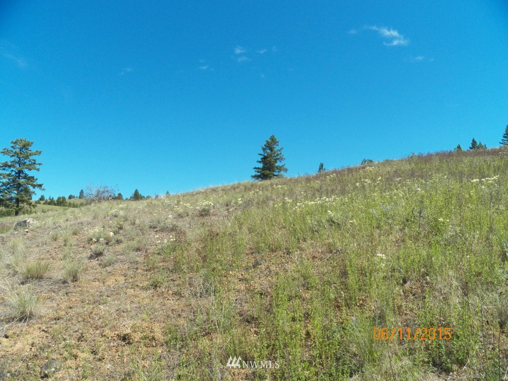 3 Barrett Creek Road Republic, WA 99166 - Photo 4 of 15