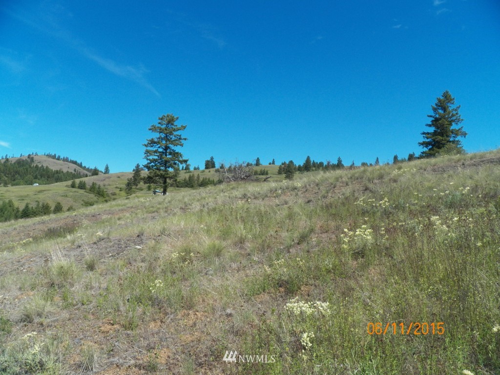 3 Barrett Creek Road Republic, WA 99166 - Photo 6 of 15