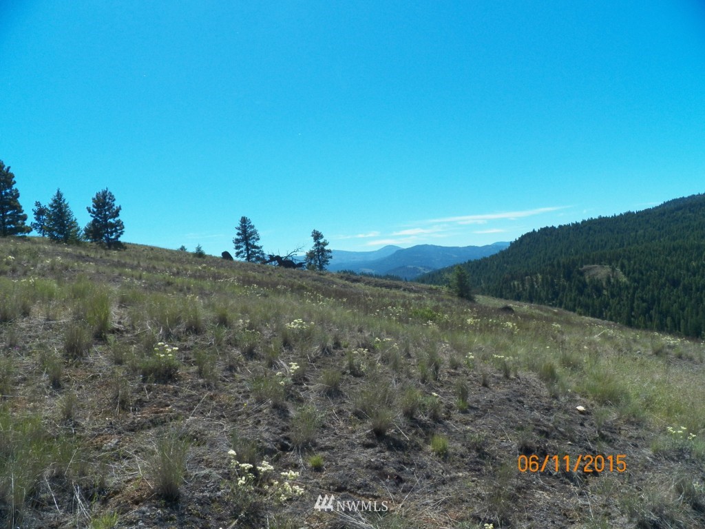 3 Barrett Creek Road Republic, WA 99166 - Photo 7 of 15