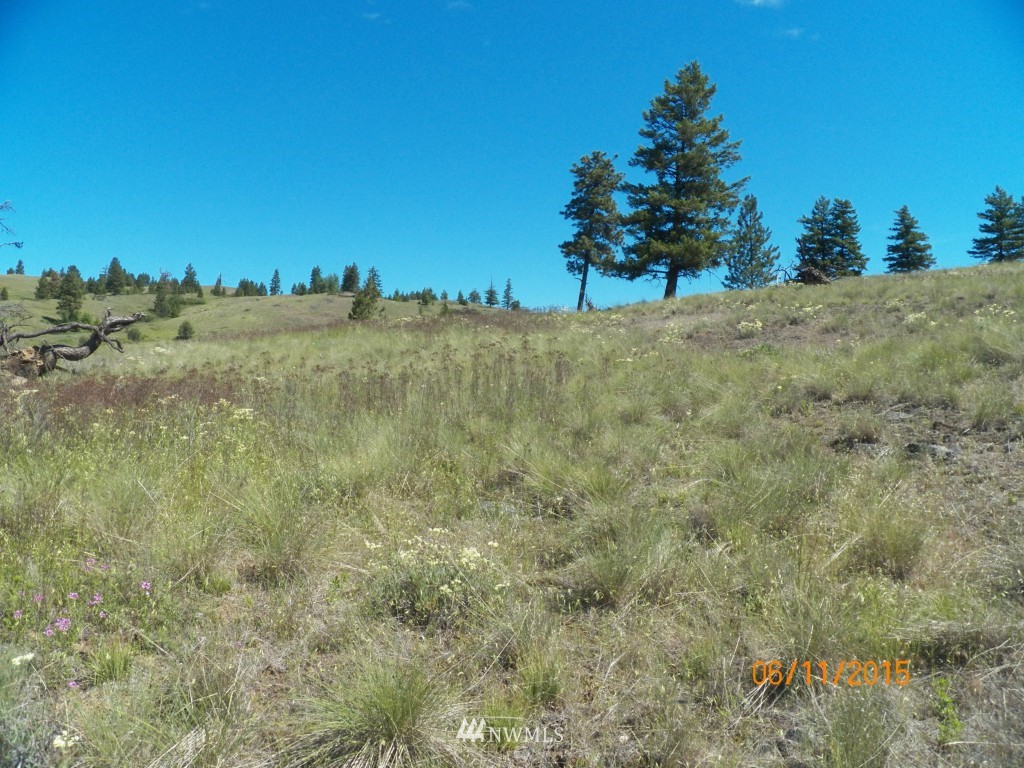 3 Barrett Creek Road Republic, WA 99166 - Photo 8 of 15