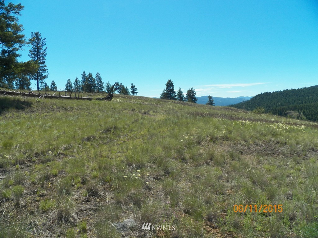 3 Barrett Creek Road Republic, WA 99166 - Photo 9 of 15