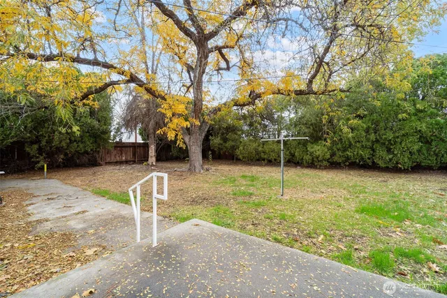 a view of a yard with plants and trees