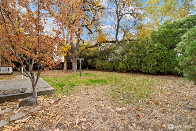 a backyard of a house with lots of green space