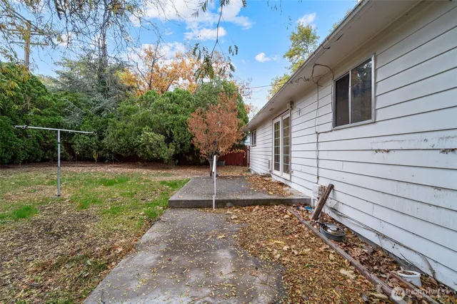 a view of a yard with plants and trees