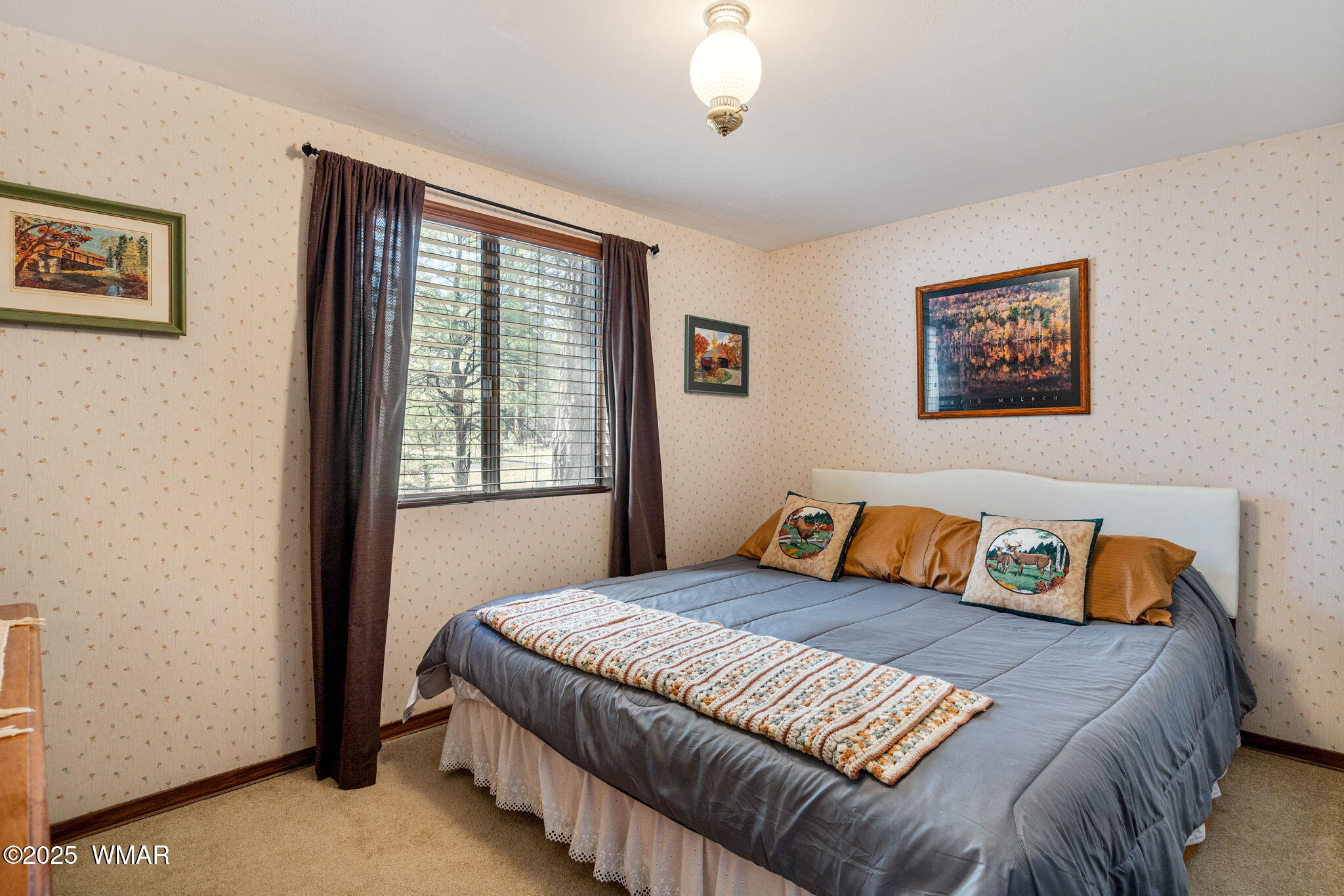 2867 Pine Rim Road Overgaard, AZ 85933 - Photo 8 of 31 2867PineRimRd-HeberOvergaard-AZ-12