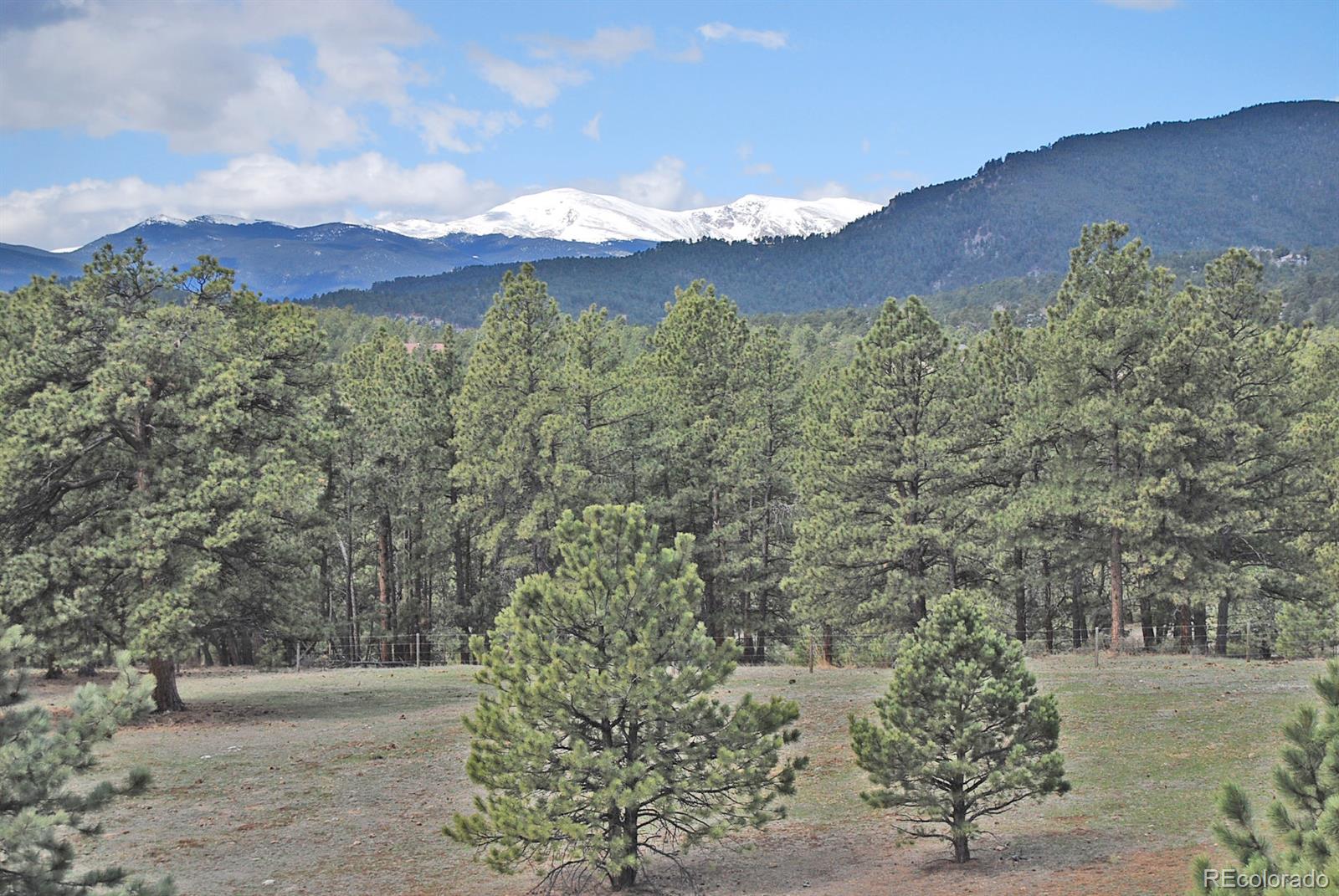 2127 Wieler Road Evergreen, CO 80439 - Photo 3 of 35 a view of a yard with mountain view