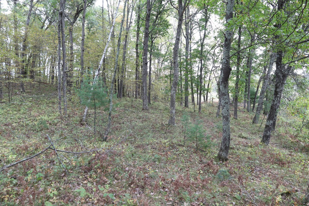 Xxx Normans Landing Road Webster, WI 54893 - Photo 5 of 16