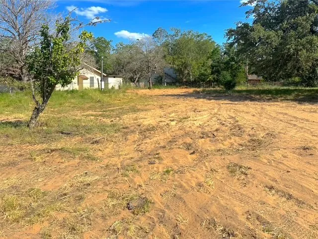 a view of a yard with a tree