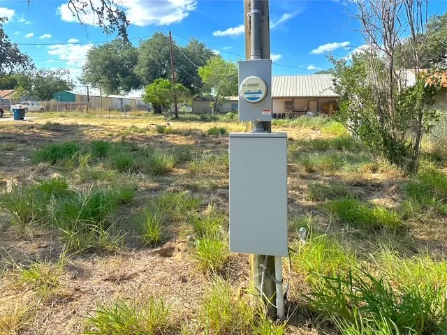 a picture of a yard with plants