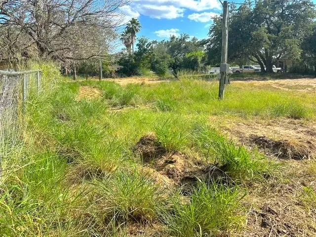 a view of a yard with a tree