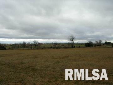 2010 Mt Pisgah Road Buncombe, IL 62912 - Photo 1 of 3