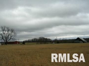 2010 Mt Pisgah Road Buncombe, IL 62912 - Photo 2 of 3