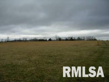 2010 Mt Pisgah Road Buncombe, IL 62912 - Photo 3 of 3