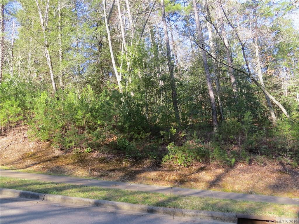 M138 Camptown Road Brevard, NC 28712 - Photo 1 of 7 Gallery Image 1