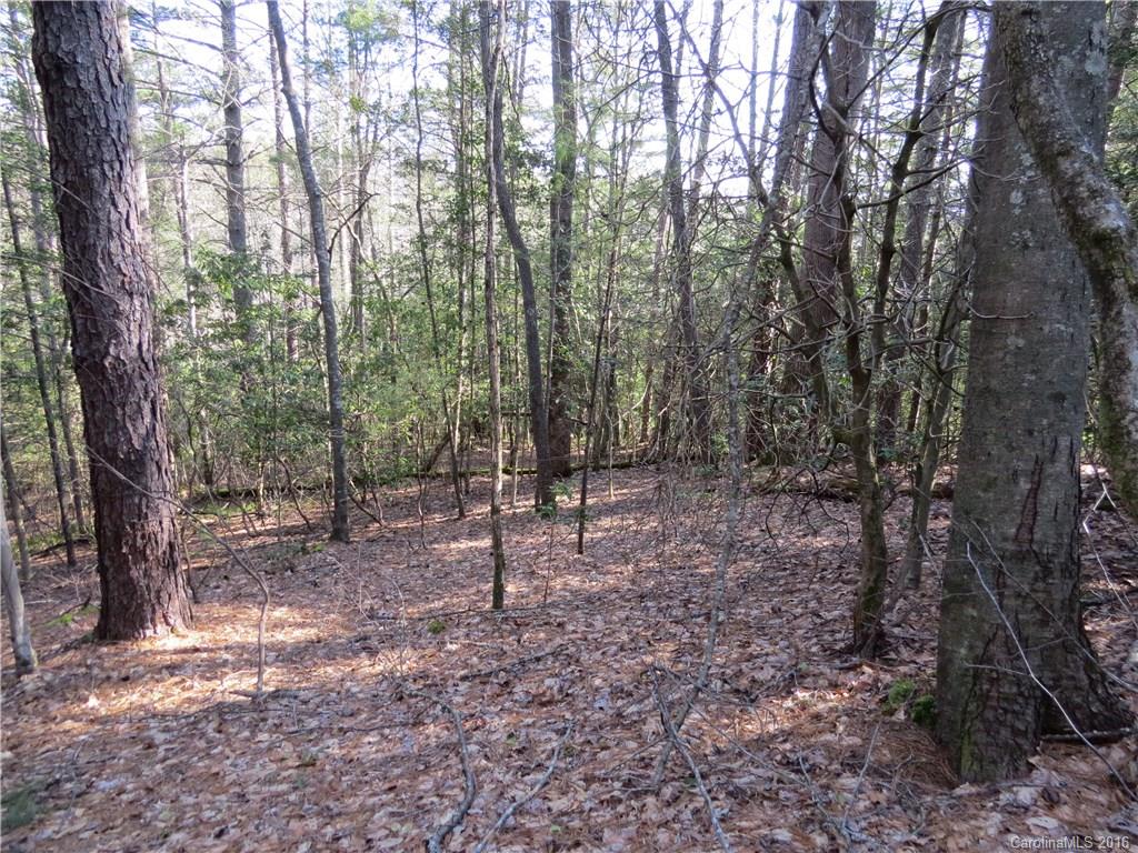 M138 Camptown Road Brevard, NC 28712 - Photo 2 of 7 Gallery Image 2