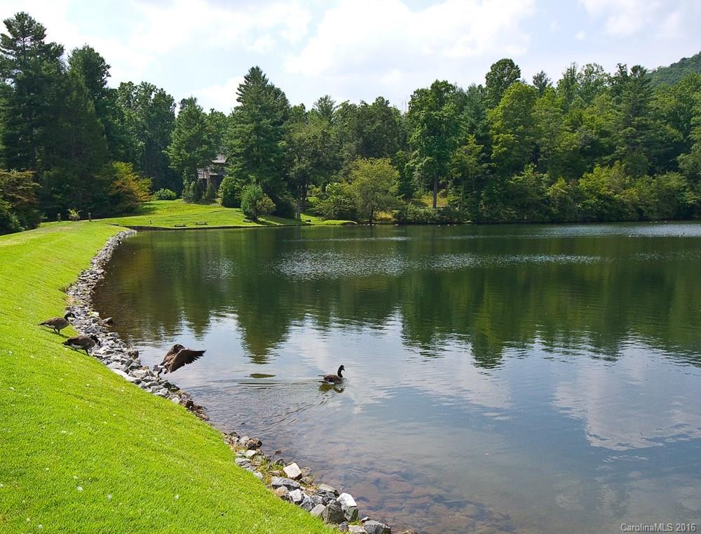 M138 Camptown Road Brevard, NC 28712 - Photo 5 of 7 Gallery Image 5