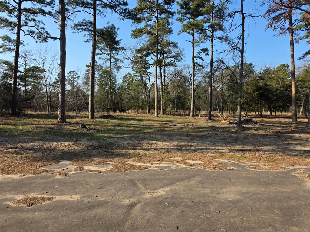 Lot 36-37 King Charles Road Scroggins, TX 75480 - Photo 4 of 14 a backyard of apartments with trees