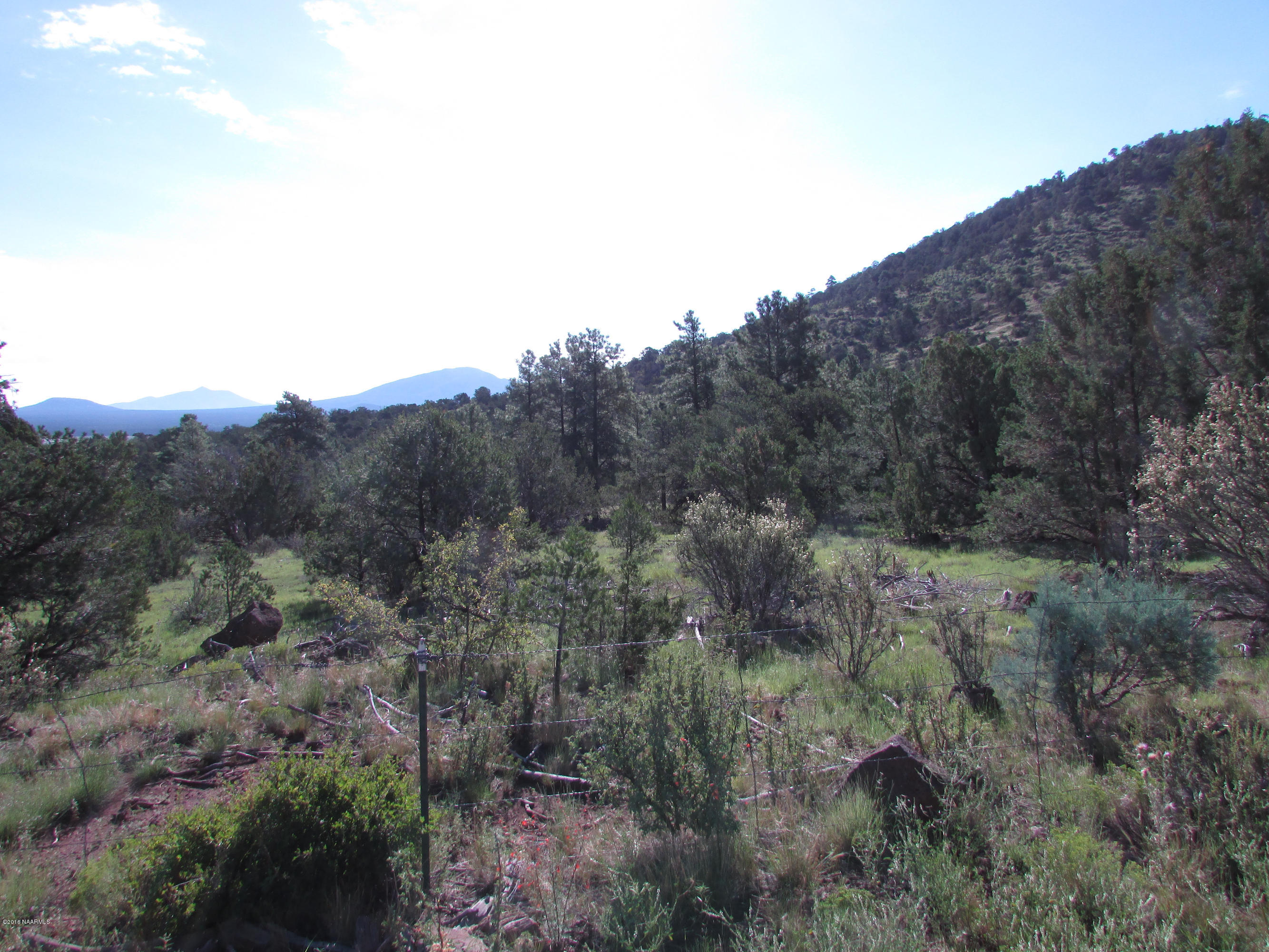 spring valley 001