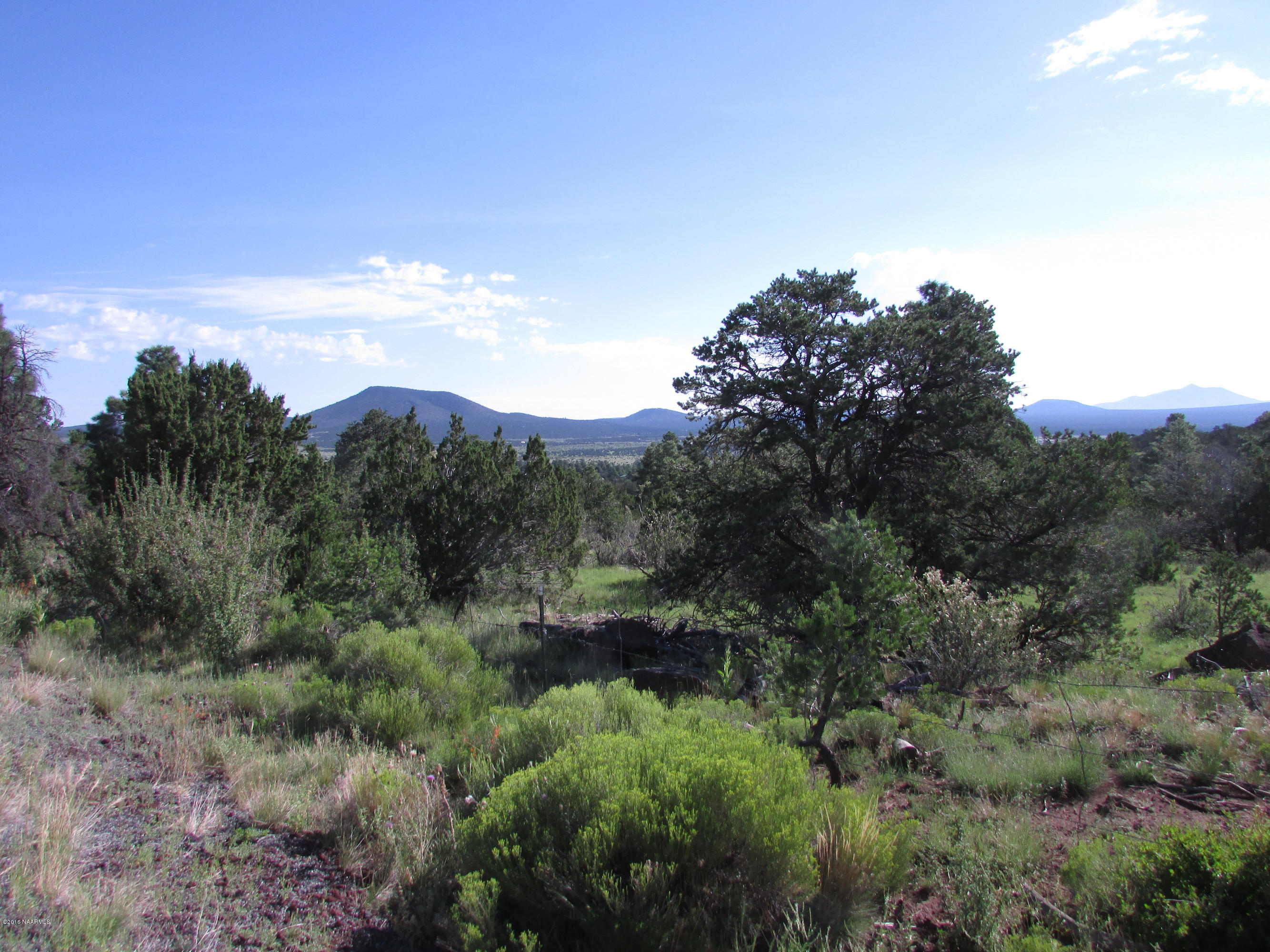 spring valley 002
