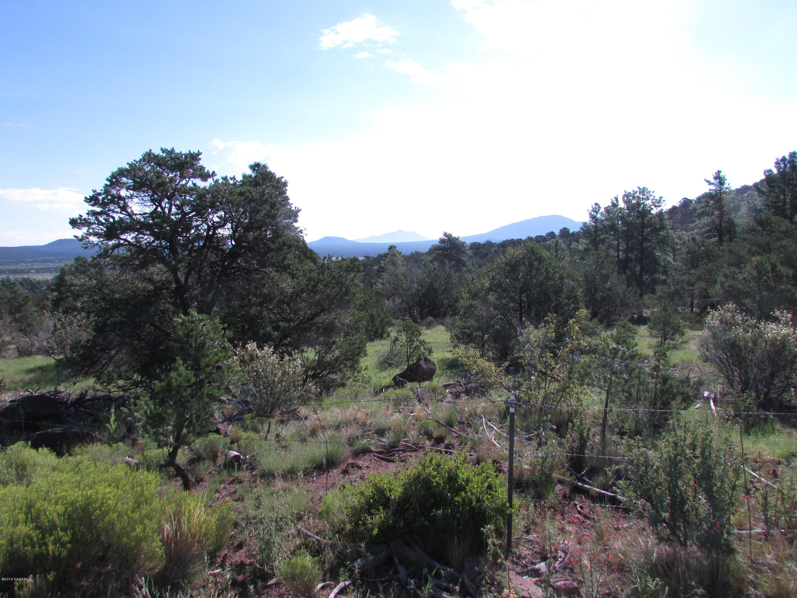 spring valley 003
