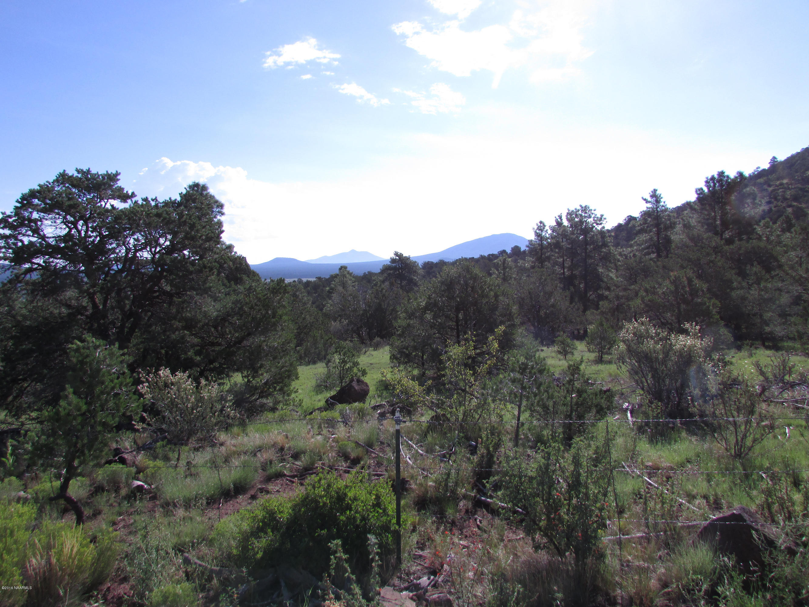 spring valley 005