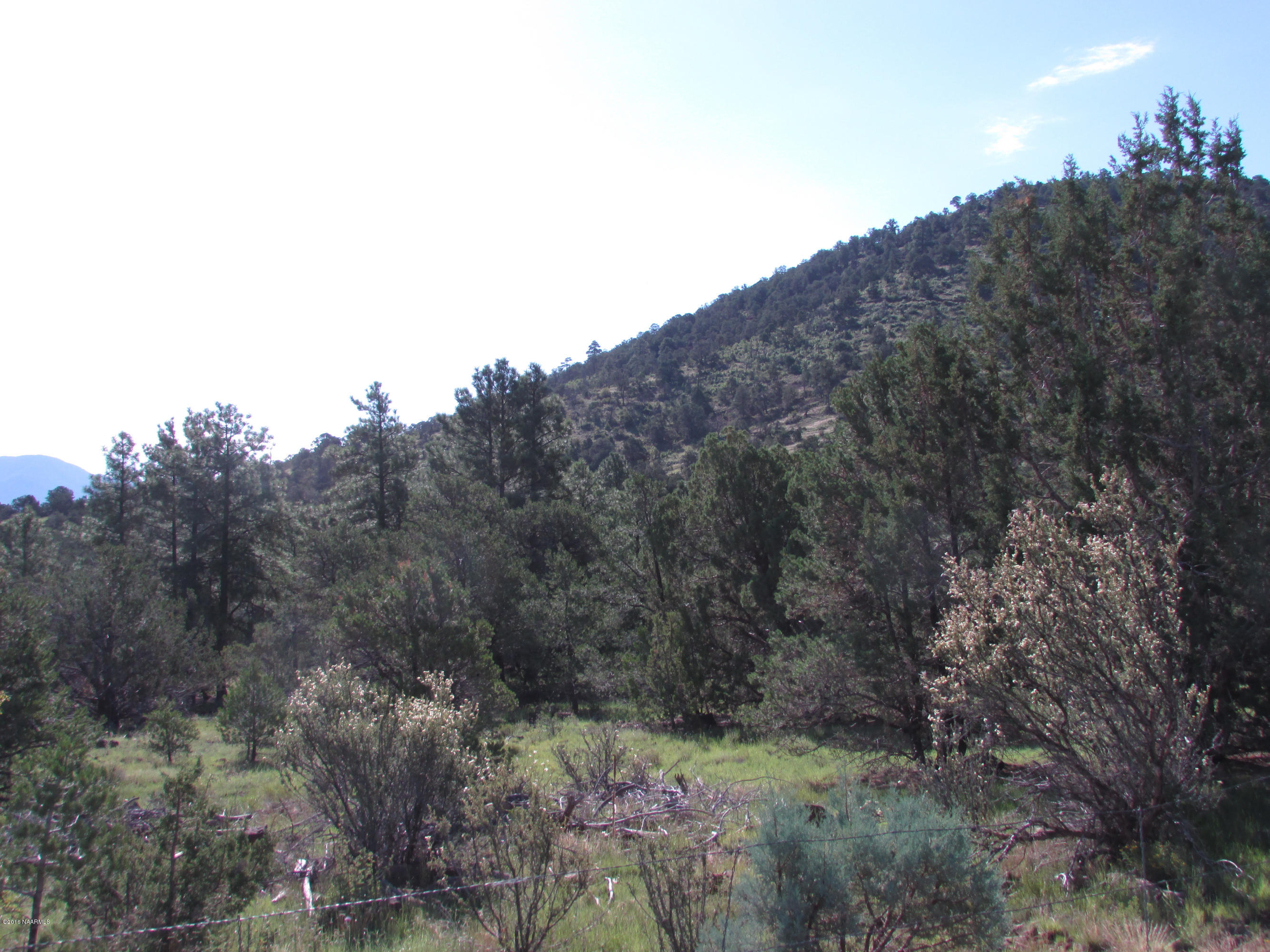 1638 East Spring Valley Road Williams, AZ 86046 - Photo 9 of 11 spring valley 008