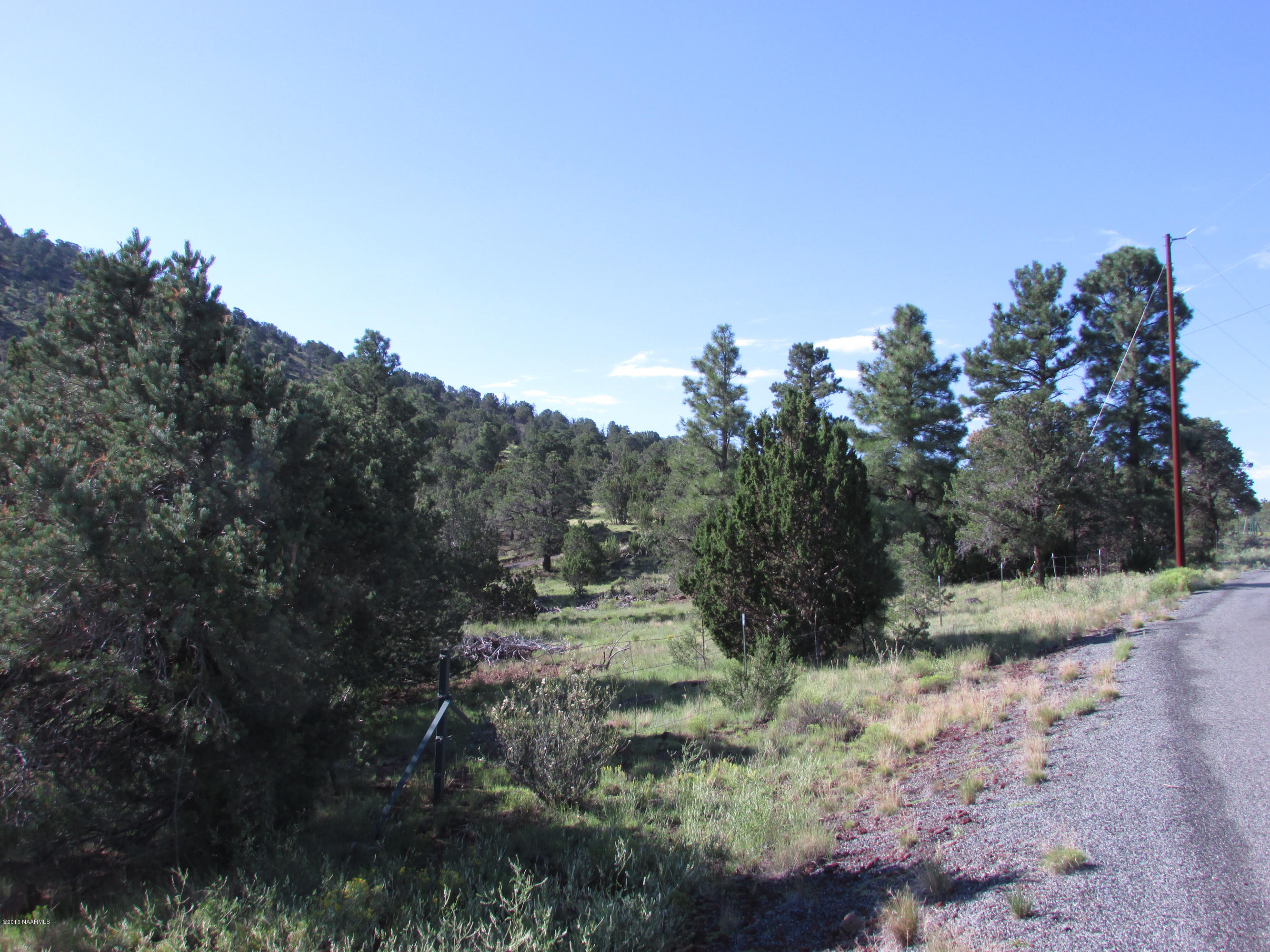 1638 East Spring Valley Road Williams, AZ 86046 - Photo 10 of 11 spring valley 009