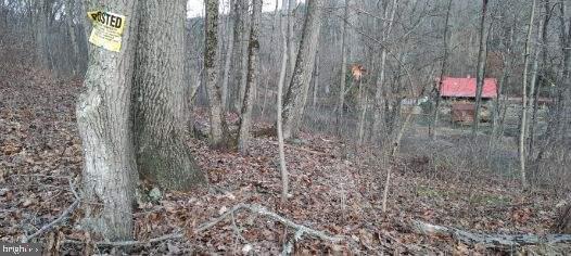 Lot # Herbst Road Red Lion, PA 17356 - Photo 4 of 8 Gallery Image 4
