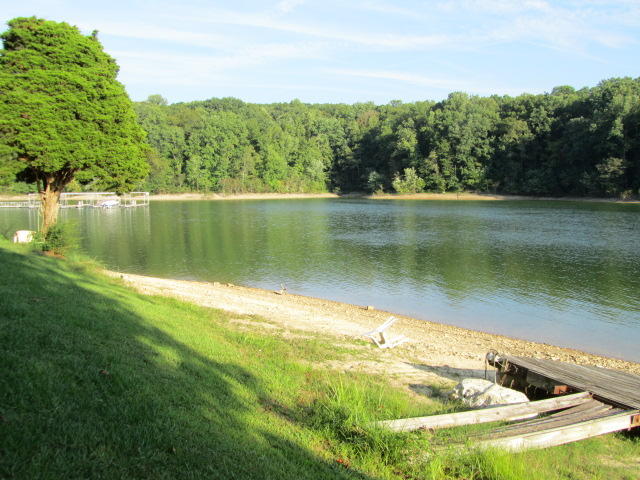 1468 Cardinal Cove Rutledge, TN 37861 - Photo 29 of 33 IMG_2595