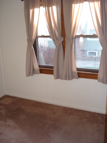 505 West Cleveland Street Spring Valley, IL 61362 - Photo 15 of 17