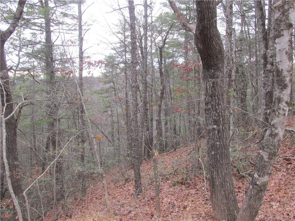 2341 Wolf Pit Road, Unit 1 & 2 Nebo, NC 28761 - Photo 11 of 18 Gallery Image 11