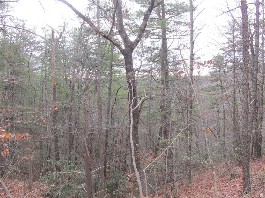 2341 Wolf Pit Road, Unit 1 & 2 Nebo, NC 28761 - Photo 12 of 18 Gallery Image 12