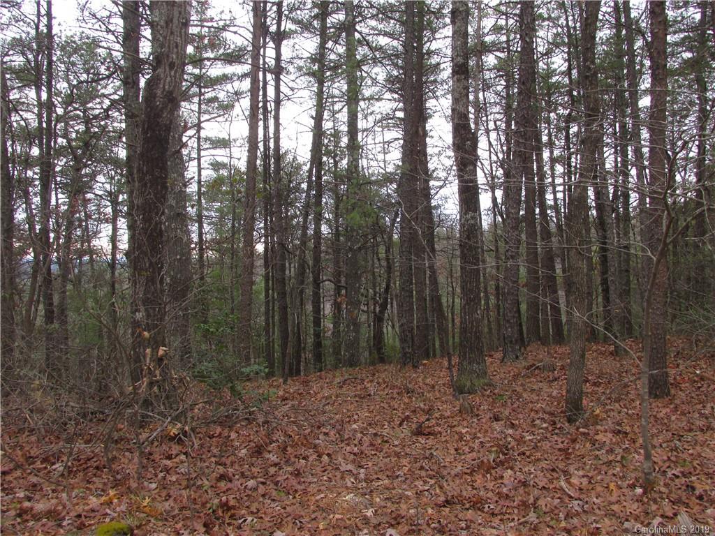 2341 Wolf Pit Road, Unit 1 & 2 Nebo, NC 28761 - Photo 13 of 18 Gallery Image 13