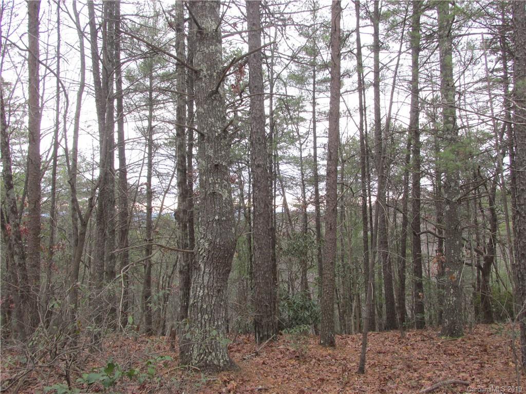 2341 Wolf Pit Road, Unit 1 & 2 Nebo, NC 28761 - Photo 14 of 18 Gallery Image 14