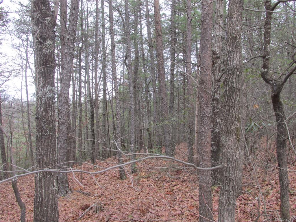 2341 Wolf Pit Road, Unit 1 & 2 Nebo, NC 28761 - Photo 15 of 18 Gallery Image 15