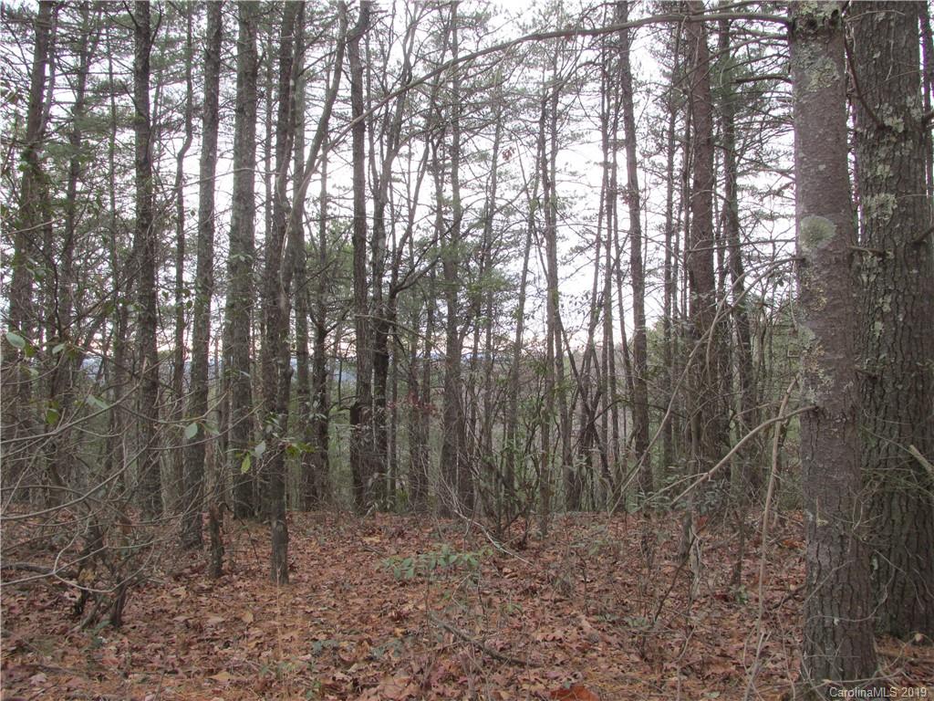 2341 Wolf Pit Road, Unit 1 & 2 Nebo, NC 28761 - Photo 16 of 18 Gallery Image 16