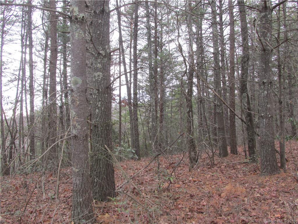 2341 Wolf Pit Road, Unit 1 & 2 Nebo, NC 28761 - Photo 17 of 18 Gallery Image 17