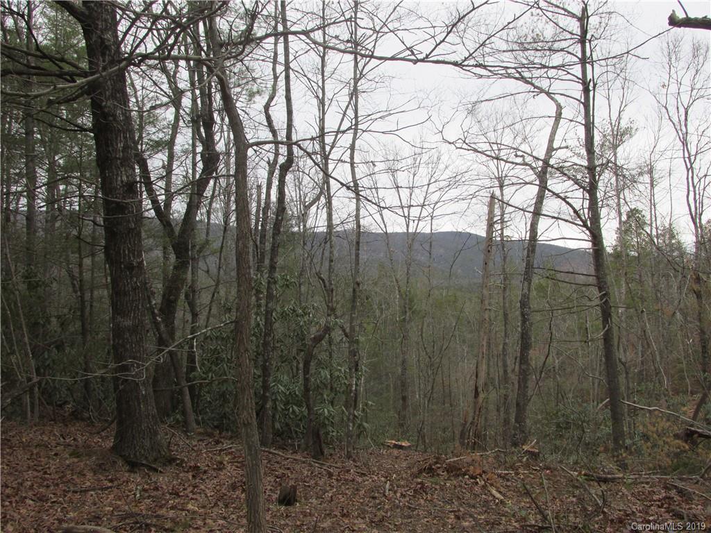 2341 Wolf Pit Road, Unit 1 & 2 Nebo, NC 28761 - Photo 18 of 18 Gallery Image 18