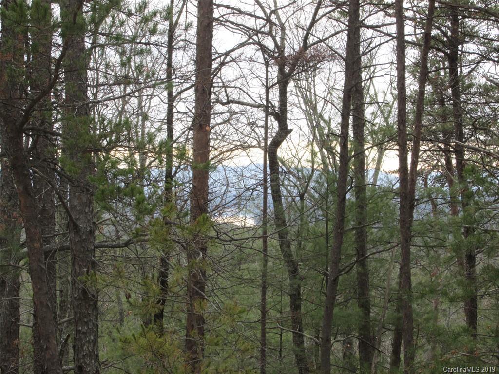2341 Wolf Pit Road, Unit 1 & 2 Nebo, NC 28761 - Photo 3 of 18 Gallery Image 3