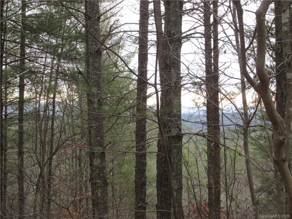 2341 Wolf Pit Road, Unit 1 & 2 Nebo, NC 28761 - Photo 5 of 18 Gallery Image 5