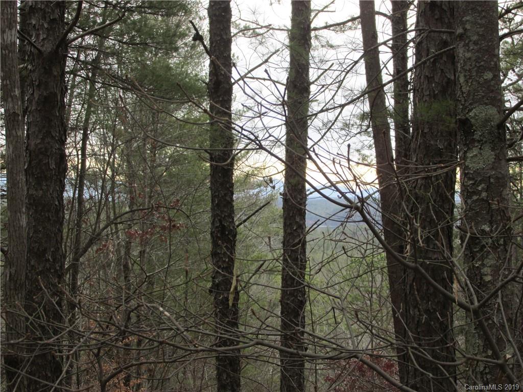 2341 Wolf Pit Road, Unit 1 & 2 Nebo, NC 28761 - Photo 6 of 18 Gallery Image 6