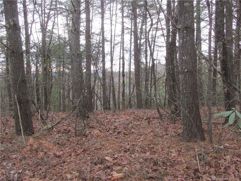 2341 Wolf Pit Road, Unit 1 & 2 Nebo, NC 28761 - Photo 8 of 18 Gallery Image 8