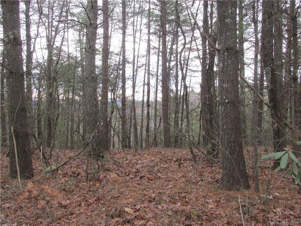 2341 Wolf Pit Road, Unit 1 & 2 Nebo, NC 28761 - Photo 9 of 18 Gallery Image 9