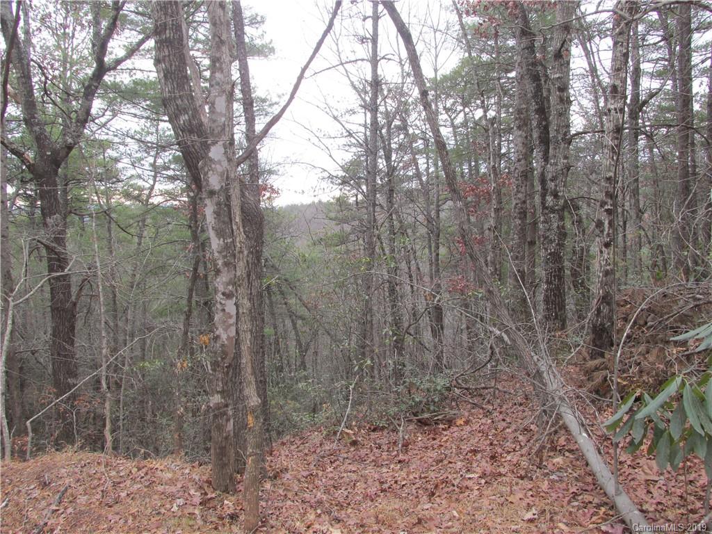 2341 Wolf Pit Road, Unit 1 & 2 Nebo, NC 28761 - Photo 10 of 18 Gallery Image 10